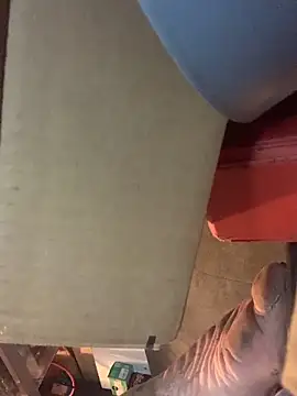 Likewise online show from February 2026 11:34:01 AM