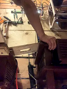 Likewise online show from October 2025 12:13:02 PM