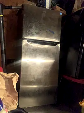 Likewise online show from November 2025 11:59:01 AM