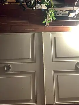 Likewise online show from February 2026 01:38:02 PM