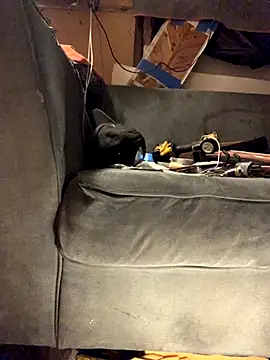 Likewise online show from November 2025 11:20:02 AM