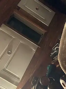 Likewise online show from April 2026 02:08:01 PM