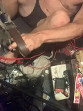 Likewise online show from April 2026 11:16:01 AM