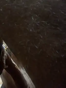 Likewise online show from November 2025 09:04:01 PM