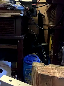 Likewise online show from October 2025 05:48:01 PM