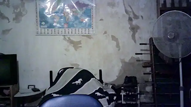 Snapshot of Emv2 chatting on November 2025 04:56:02 AM Emv2 online show from November 2025 04:56:02 AM