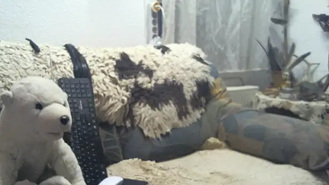 SexySantaC online show from December 2025 09:08:02 PM