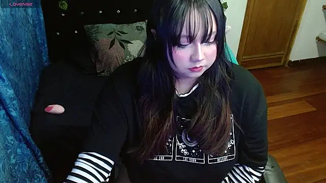 litlle cat online show from November 2025 05:40:02 AM