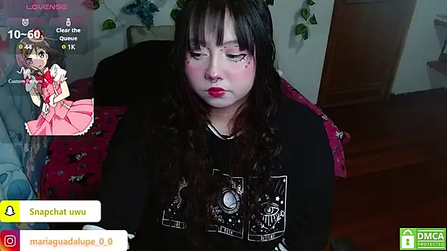 litlle cat online show from February 2025 04:50:01 AM