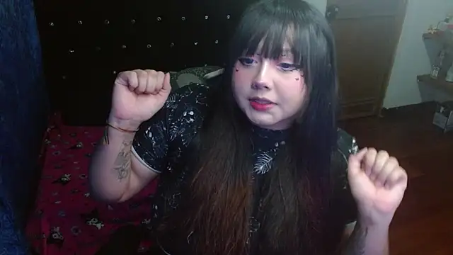 litlle cat online show from October 2025 05:30:01 AM