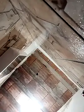 121fff online show from February 2026 03:17:01 AM