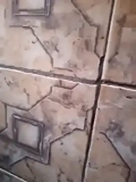 121fff online show from November 2025 11:58:02 AM