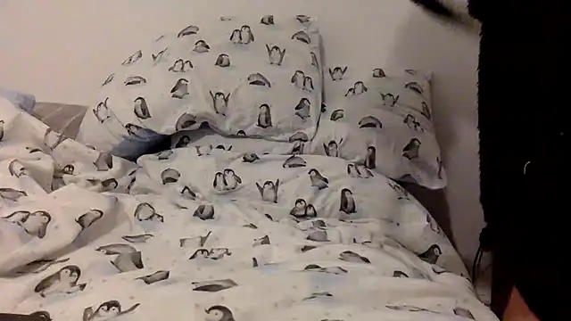 bigguy101 online show from November 2025 03:38:02 AM