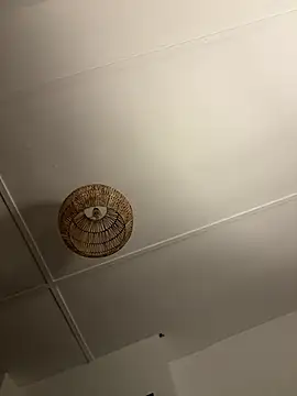 Bustyblondebabe32 online show from January 2026 07:04:01 AM