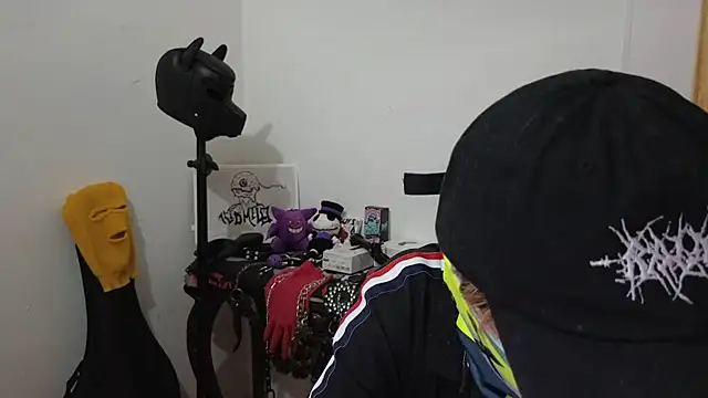 Snapshot of AcidMilo chatting on February 2025 10:32:01 PM AcidMilo online show from February 2025 10:32:01 PM