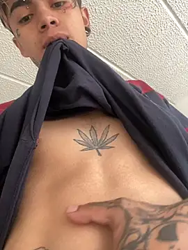 Snapshot of AcidMilo chatting on February 2025 12:51:02 PM AcidMilo online show from February 2025 12:51:02 PM