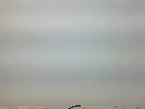 Snapshot of bigdickfuckuu chatting on September 2025 12:44:02 PM bigdickfuckuu online show from September 2025 12:44:02 PM
