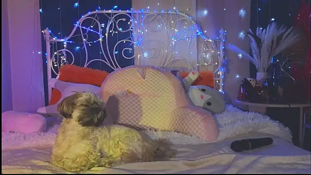 Funny Bunny online show from March 2025 02:26:01 AM