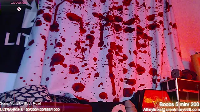 Silentmary online show from November 2025 02:04:01 AM