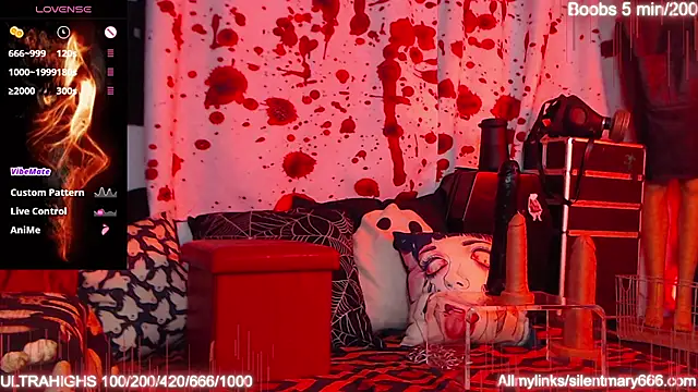 Silentmary online show from October 2025 01:29:01 AM