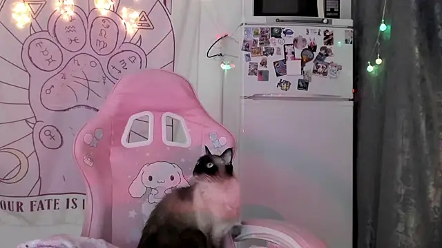 Holy420lolii online show from January 2026 06:22:01 PM