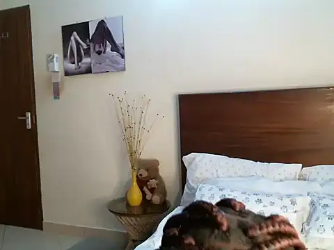 pay tience online show from November 2025 02:48:02 AM