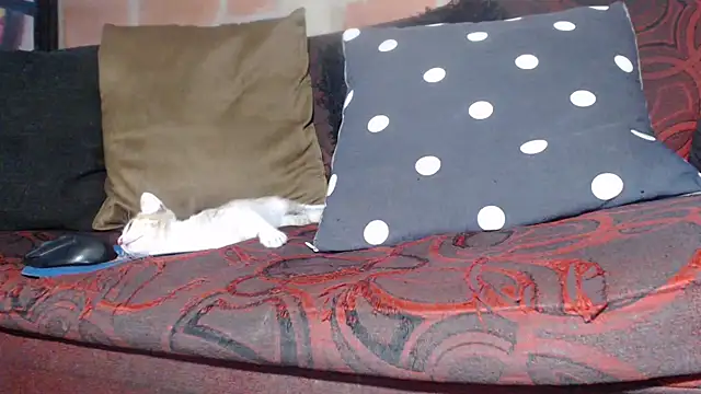 Snapshot of DevoraAmateur chatting on February 2026 07:04:01 PM DevoraAmateur online show from February 2026 07:04:01 PM