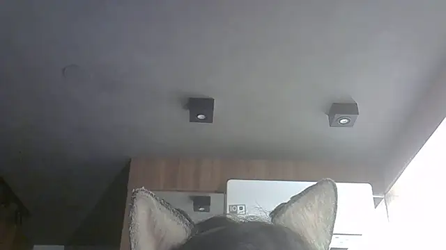 Skinny-Kitten online show from October 2025 06:58:02 AM