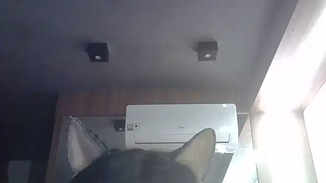 Skinny-Kitten online show from May 2026 04:57:01 PM