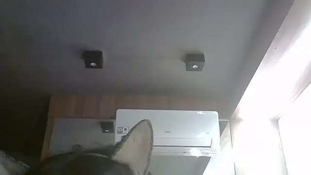 Skinny-Kitten online show from May 2026 08:20:01 PM