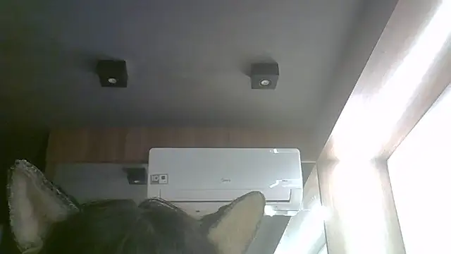 Skinny-Kitten online show from June 2026 03:44:01 PM