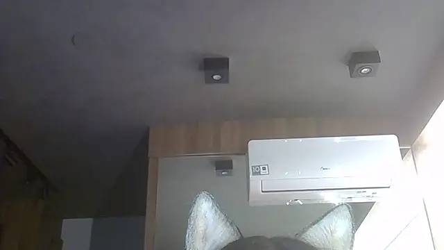 Snapshot of Skinny-Kitten chatting on December 2025 01:06:01 AM Skinny-Kitten online show from December 2025 01:06:01 AM