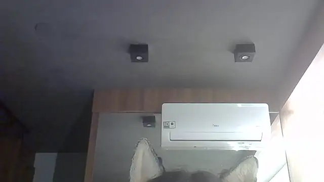 Snapshot of Skinny-Kitten chatting on February 2026 07:51:01 AM Skinny-Kitten online show from February 2026 07:51:01 AM