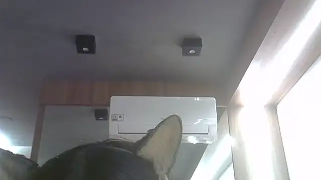 Skinny-Kitten online show from June 2026 11:32:02 PM
