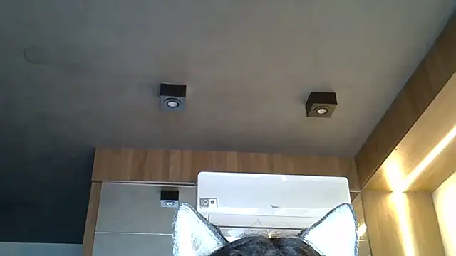 Skinny-Kitten online show from November 2025 09:36:01 AM