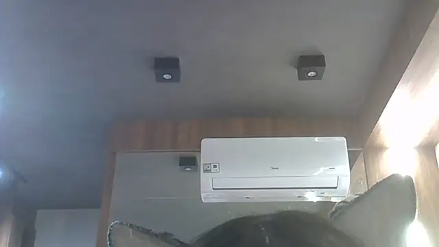 Snapshot of Skinny-Kitten chatting on January 2026 03:32:01 AM Skinny-Kitten online show from January 2026 03:32:01 AM