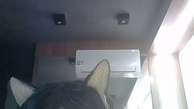 Skinny-Kitten online show from June 2026 08:36:02 AM