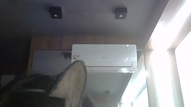 Skinny-Kitten online show from June 2026 05:24:01 AM
