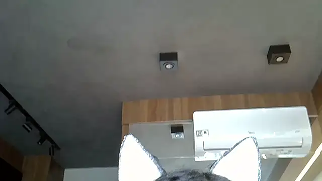 Skinny-Kitten online show from November 2025 05:06:01 PM