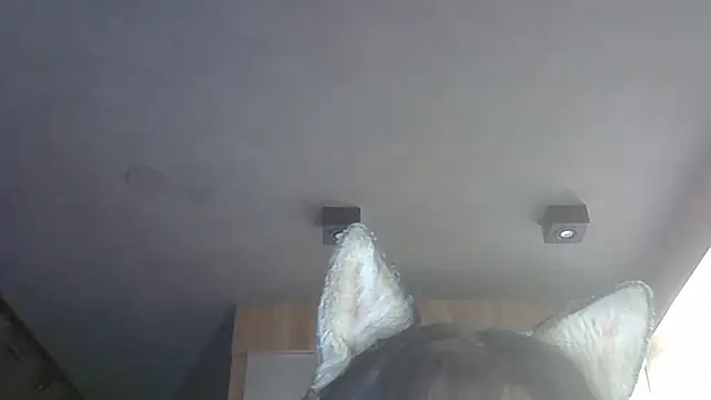 Skinny-Kitten online show from December 2025 02:34:01 PM