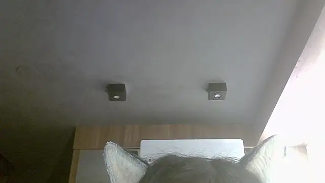 Skinny-Kitten online show from May 2026 09:17:02 AM