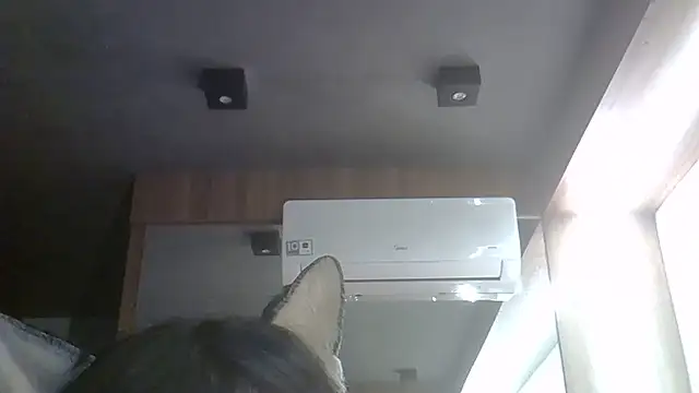 Skinny-Kitten online show from May 2026 11:10:01 PM