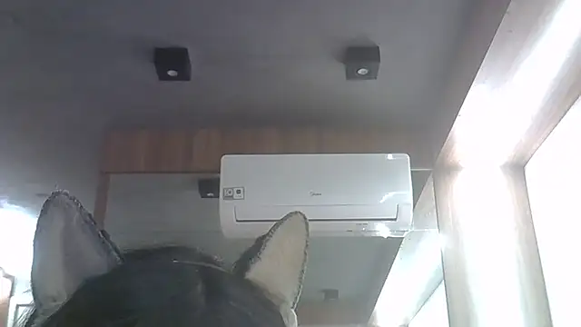 Skinny-Kitten online show from June 2026 11:42:01 PM