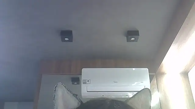 Snapshot of Skinny-Kitten chatting on January 2026 04:05:02 AM Skinny-Kitten online show from January 2026 04:05:02 AM