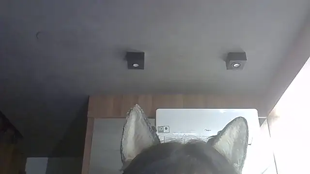 Snapshot of Skinny-Kitten chatting on February 2026 01:39:01 AM Skinny-Kitten online show from February 2026 01:39:01 AM