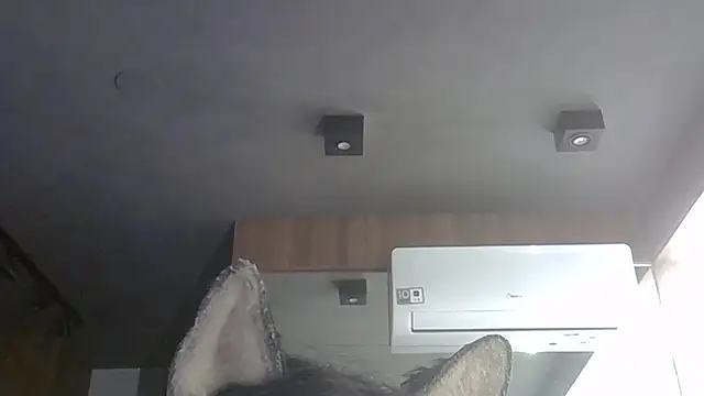 Snapshot of Skinny-Kitten chatting on February 2026 08:39:01 PM Skinny-Kitten online show from February 2026 08:39:01 PM