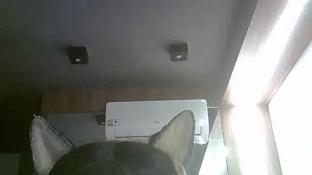 Skinny-Kitten online show from May 2026 04:43:01 PM
