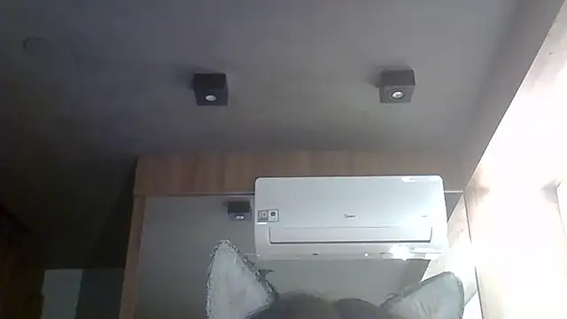 Snapshot of Skinny-Kitten chatting on January 2026 10:13:02 PM Skinny-Kitten online show from January 2026 10:13:02 PM