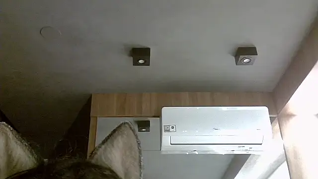 Skinny-Kitten online show from November 2025 03:09:02 AM