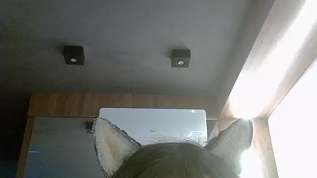Skinny-Kitten online show from July 2026 04:48:02 PM